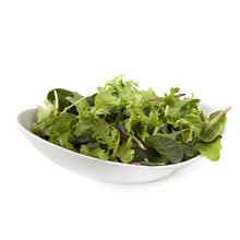 Load image into Gallery viewer, MESCULIN - 1.5kg  BOX - Salad Mixed Leaves
