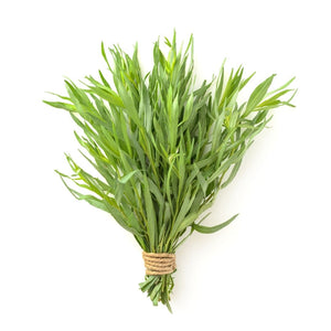 TARRAGON - Bunch