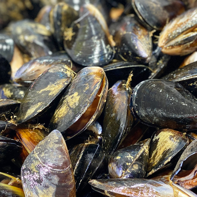 MUSSELS - AUSSIE 1kg